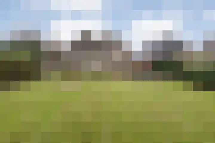 Burg.Backxlaan 277 Nieuwleusen thumbnail 59