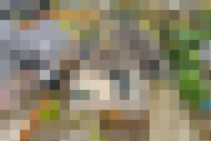Burg.Backxlaan 277 Nieuwleusen thumbnail 6