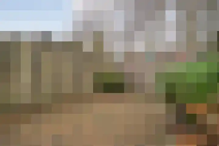 Burg.Backxlaan 277 Nieuwleusen thumbnail 61