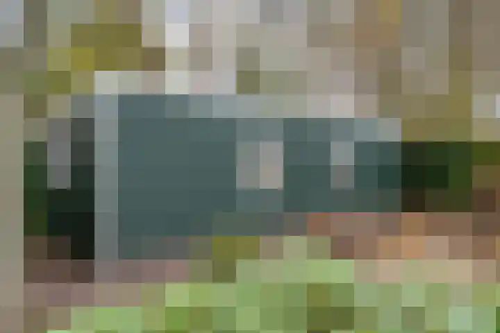 Burg.Backxlaan 277 Nieuwleusen thumbnail 62