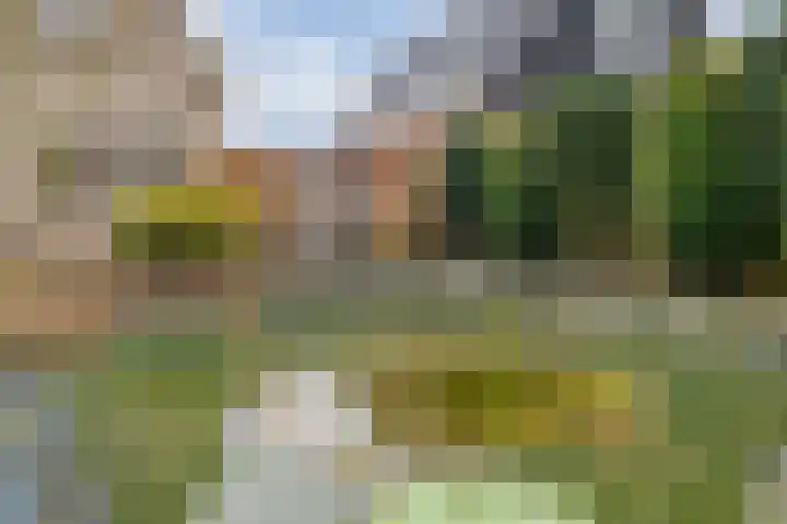Burg.Backxlaan 277 Nieuwleusen thumbnail 63