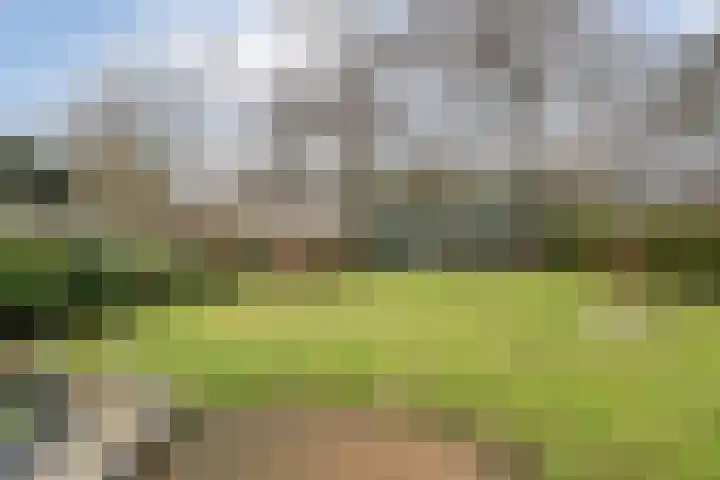 Burg.Backxlaan 277 Nieuwleusen thumbnail 64