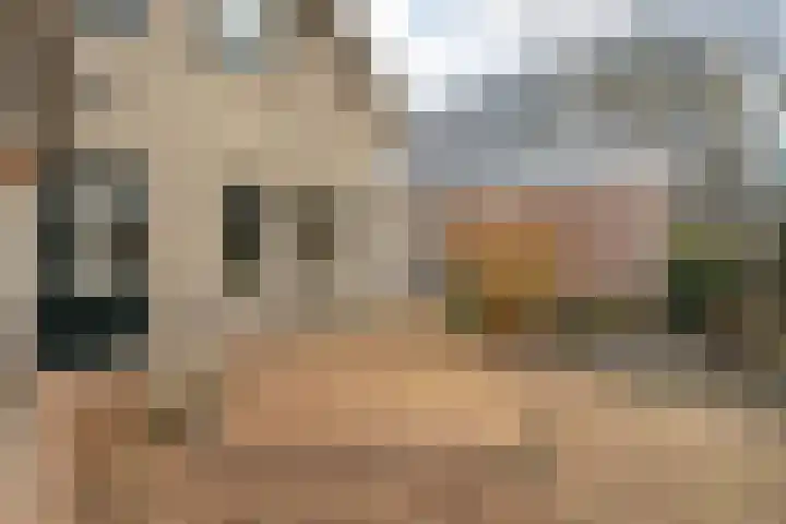 Burg.Backxlaan 277 Nieuwleusen thumbnail 65