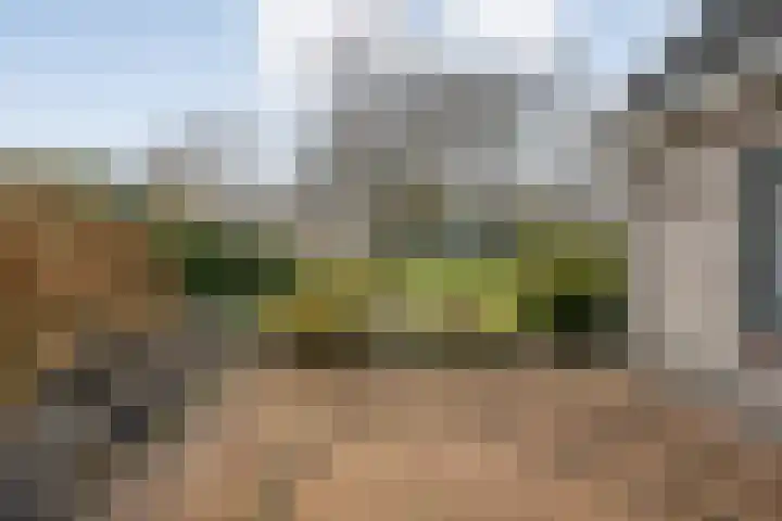 Burg.Backxlaan 277 Nieuwleusen thumbnail 66