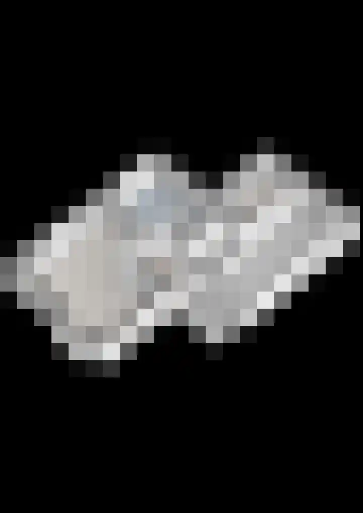 Burg.Backxlaan 277 Nieuwleusen thumbnail 69