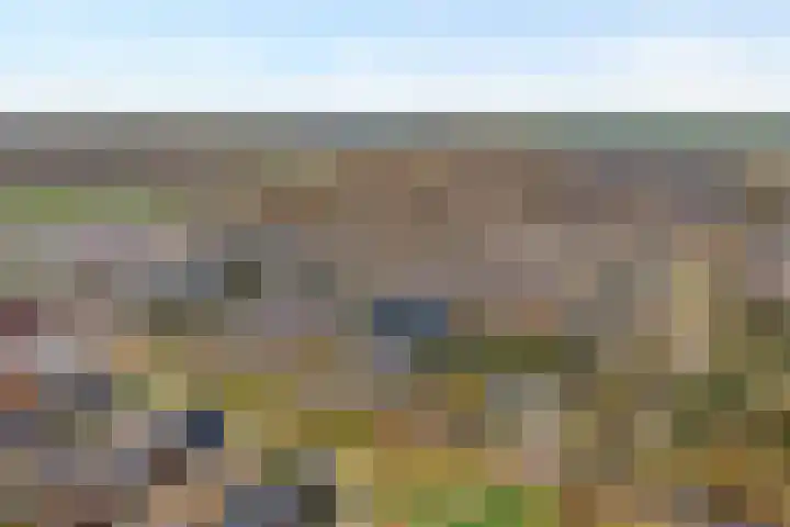 Burg.Backxlaan 277 Nieuwleusen thumbnail 7