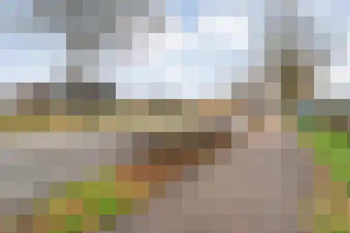 Burg.Backxlaan 277 Nieuwleusen thumbnail 9