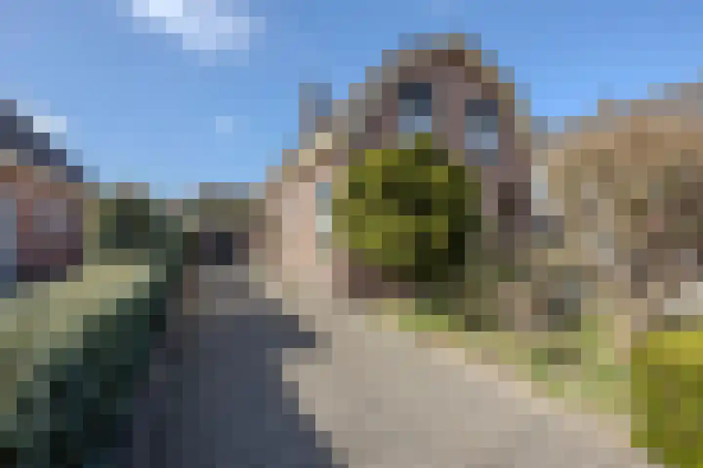 Burg.Backxlaan 295 dans Nieuwleusen
