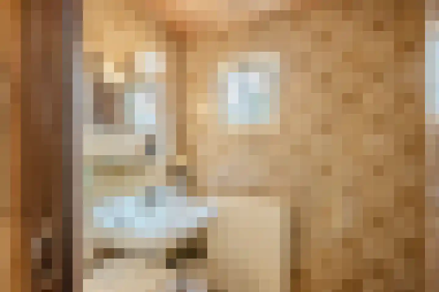 Burg.Backxlaan 295 Nieuwleusen thumbnail 18