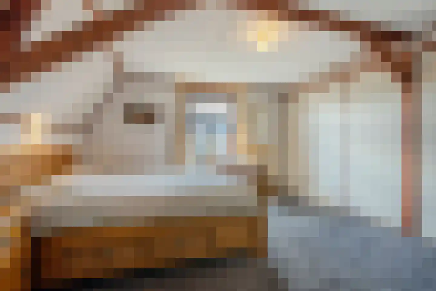 Burg.Backxlaan 295 Nieuwleusen thumbnail 23