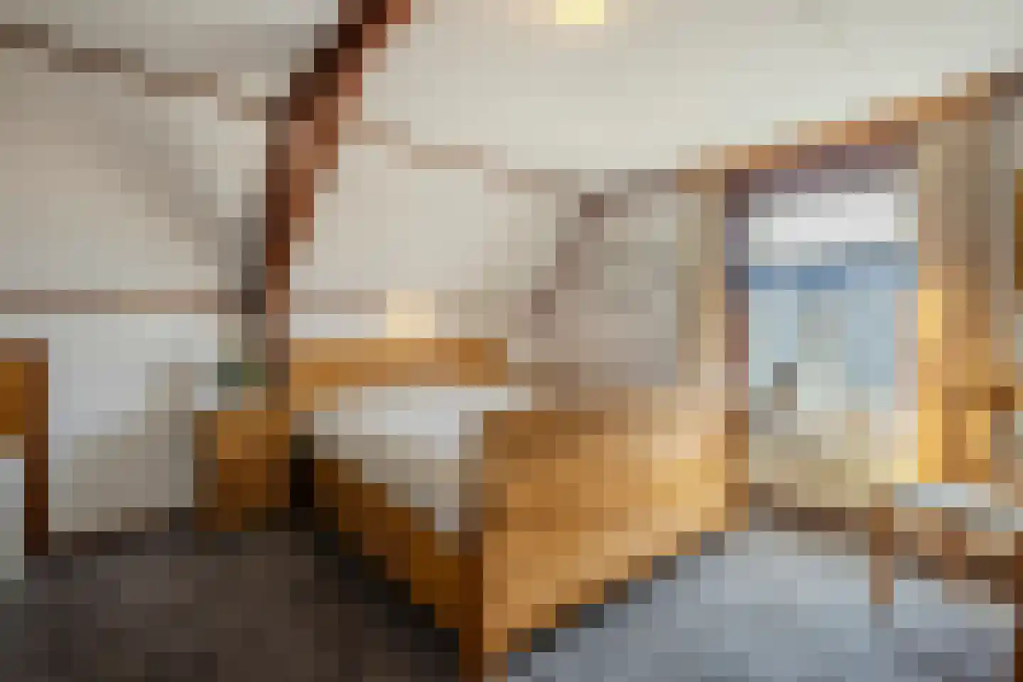 Burg.Backxlaan 295 Nieuwleusen thumbnail 24