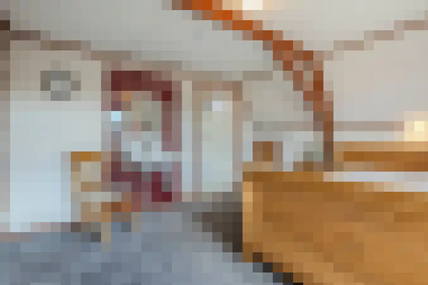 Burg.Backxlaan 295 Nieuwleusen thumbnail 25