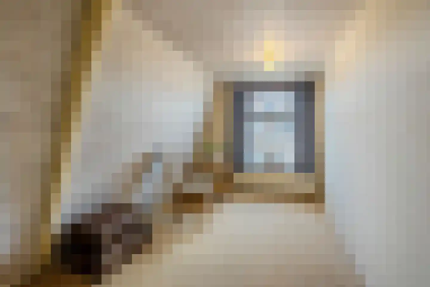 Burg.Backxlaan 295 Nieuwleusen thumbnail 26