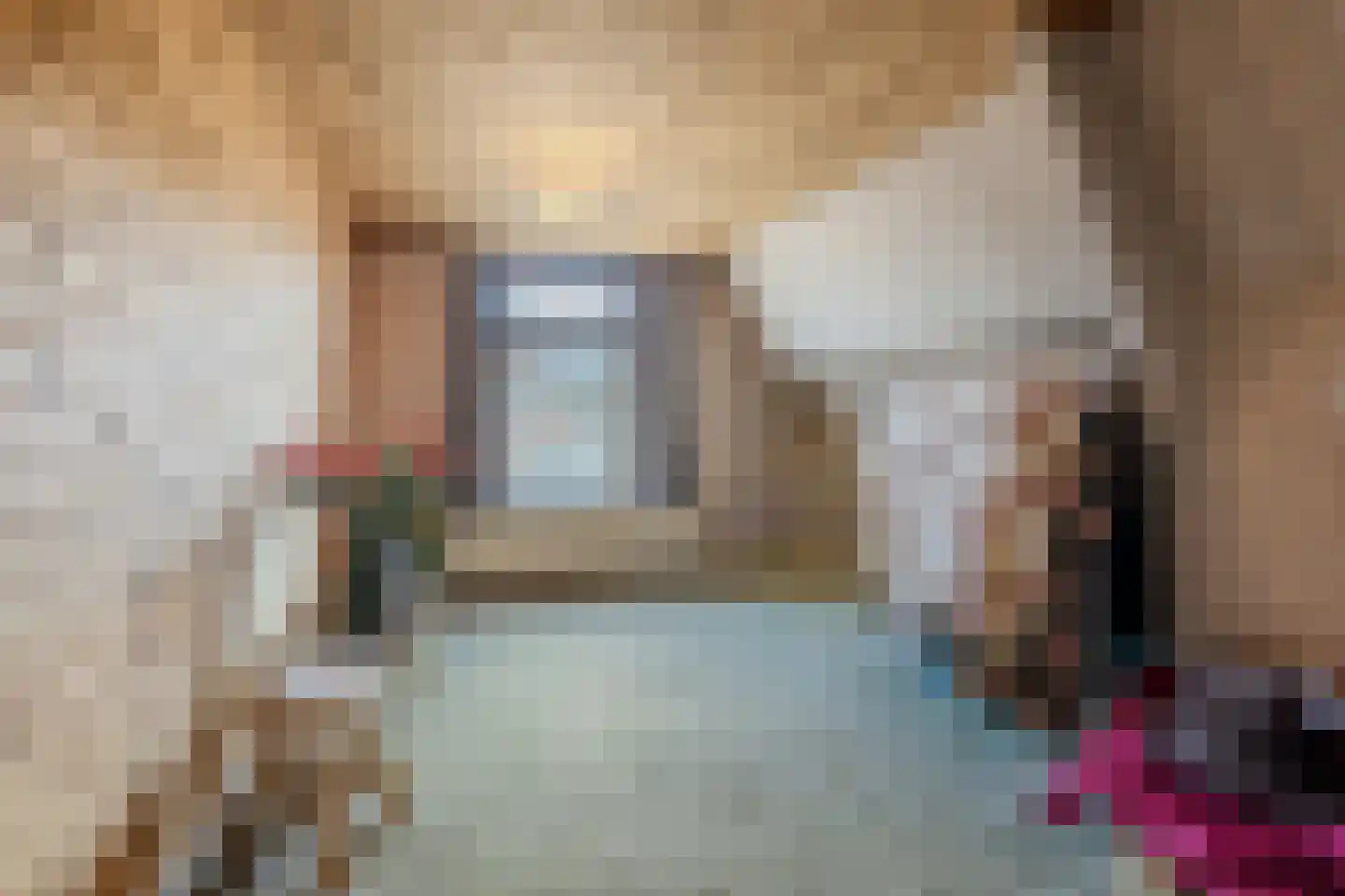 Burg.Backxlaan 295 Nieuwleusen thumbnail 29