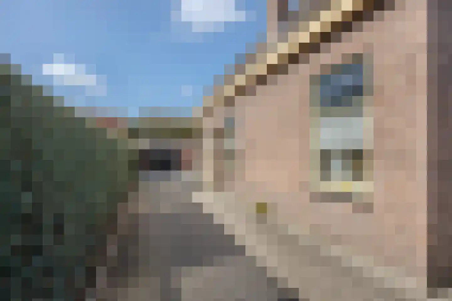 Burg.Backxlaan 295 Nieuwleusen thumbnail 32