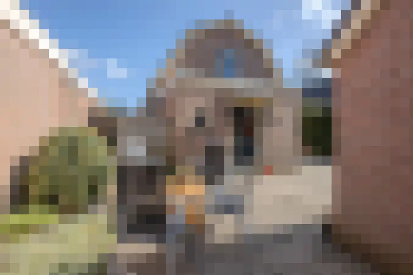 Burg.Backxlaan 295 Nieuwleusen thumbnail 35
