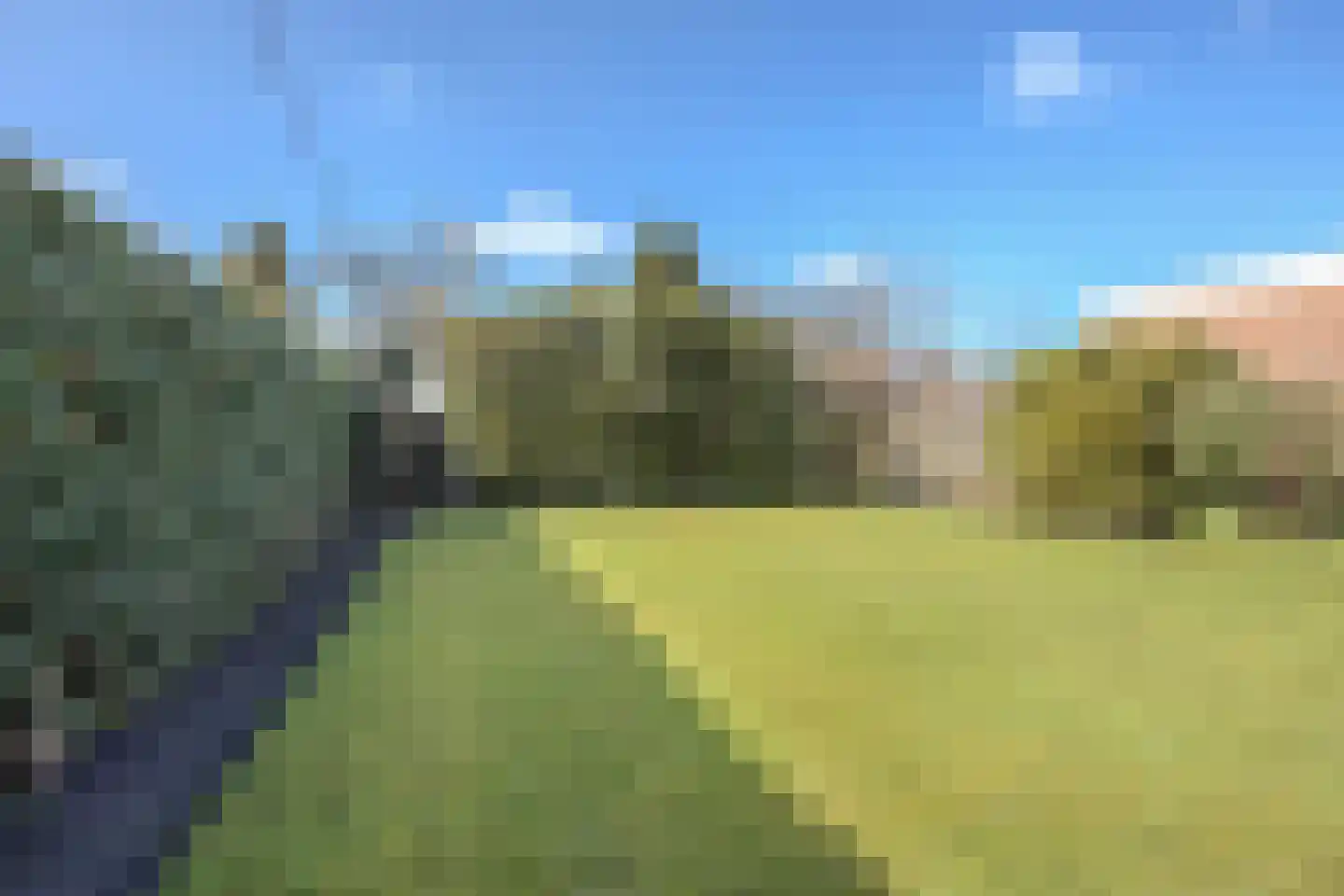 Burg.Backxlaan 295 Nieuwleusen thumbnail 40