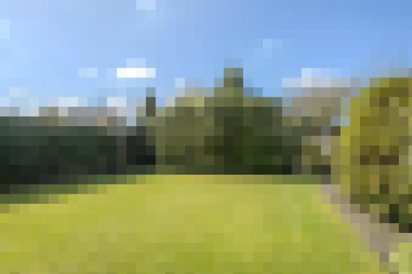 Burg.Backxlaan 295 Nieuwleusen thumbnail 41