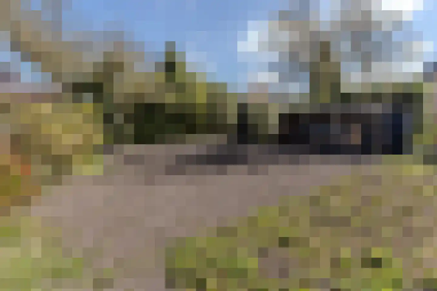 Burg.Backxlaan 295 Nieuwleusen thumbnail 42