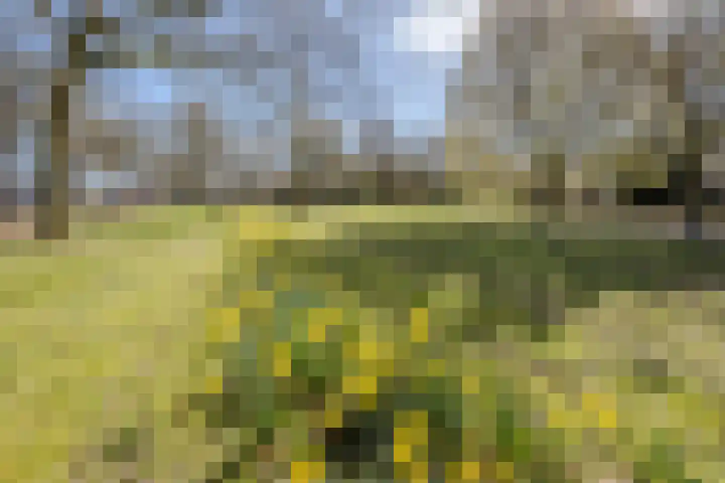 Burg.Backxlaan 295 Nieuwleusen thumbnail 44