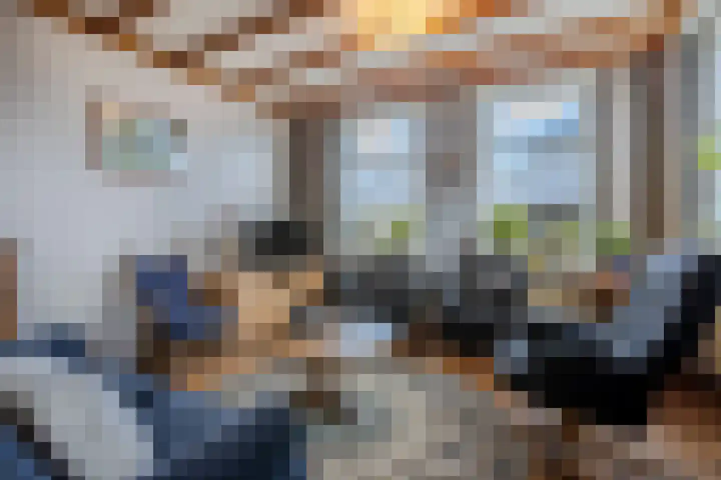 Burg.Backxlaan 295 Nieuwleusen thumbnail 5