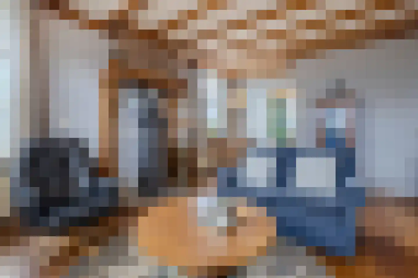 Burg.Backxlaan 295 Nieuwleusen thumbnail 7