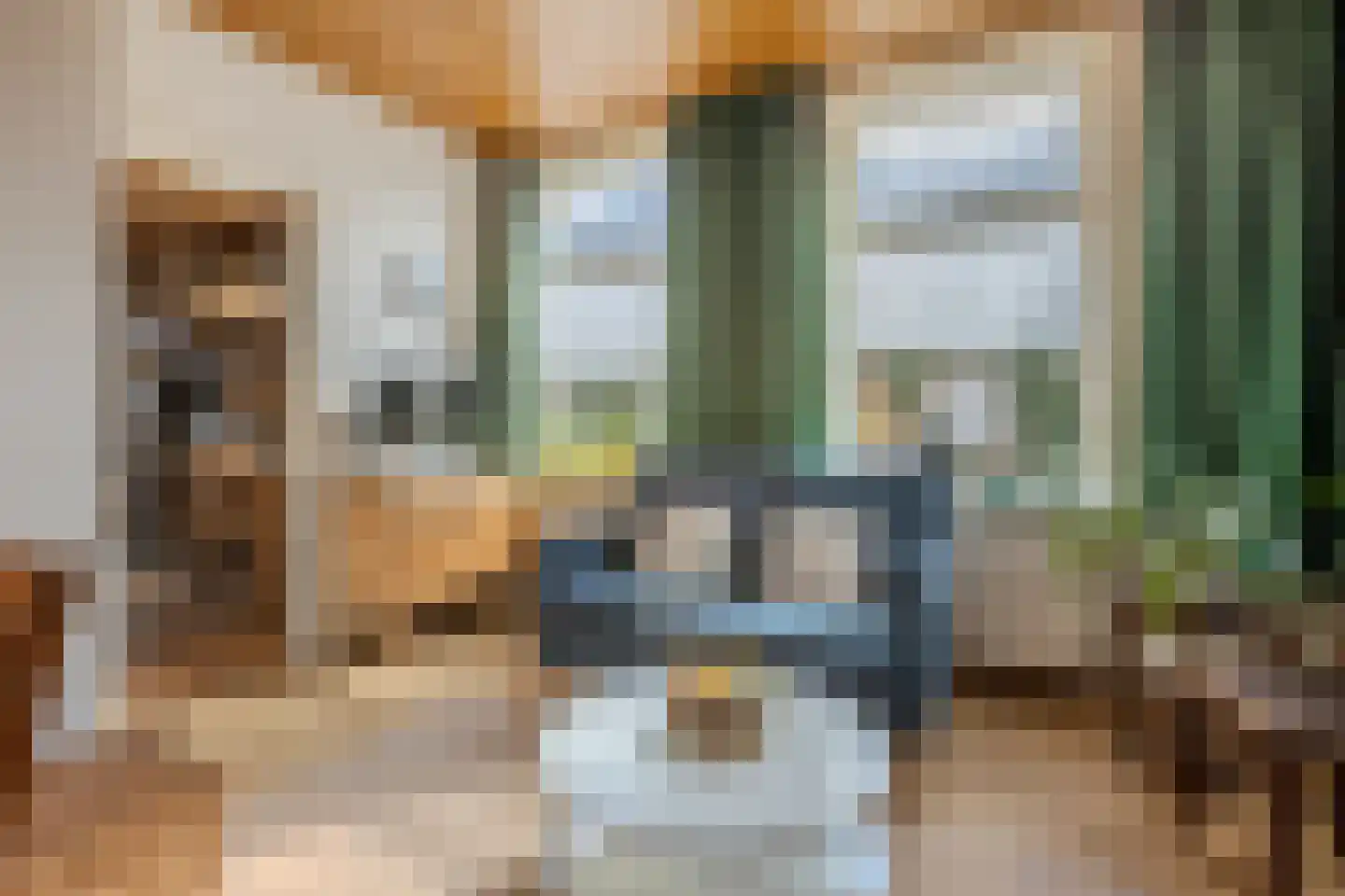 Burg.Backxlaan 295 Nieuwleusen thumbnail 9