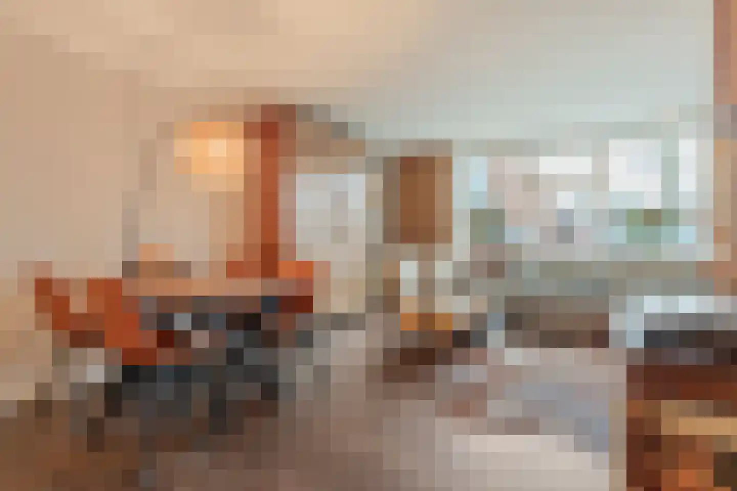 Burg.Backxlaan 306 Nieuwleusen thumbnail 10