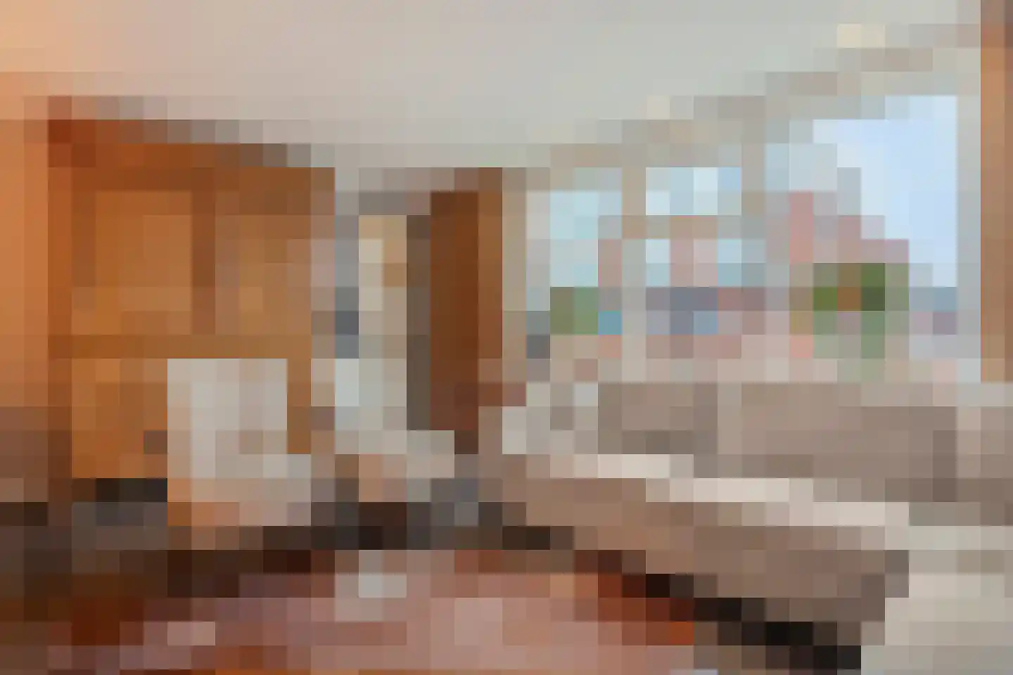 Burg.Backxlaan 306 Nieuwleusen thumbnail 12