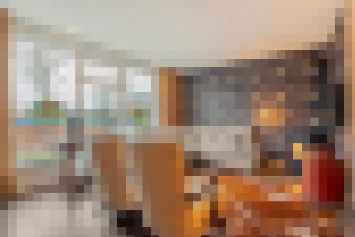 Burg.Backxlaan 306 Nieuwleusen thumbnail 13