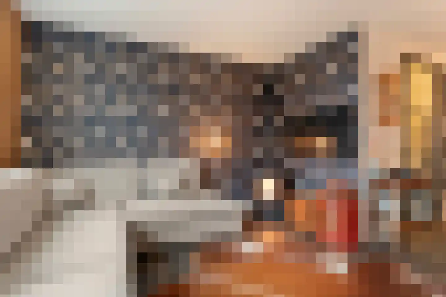 Burg.Backxlaan 306 Nieuwleusen thumbnail 14