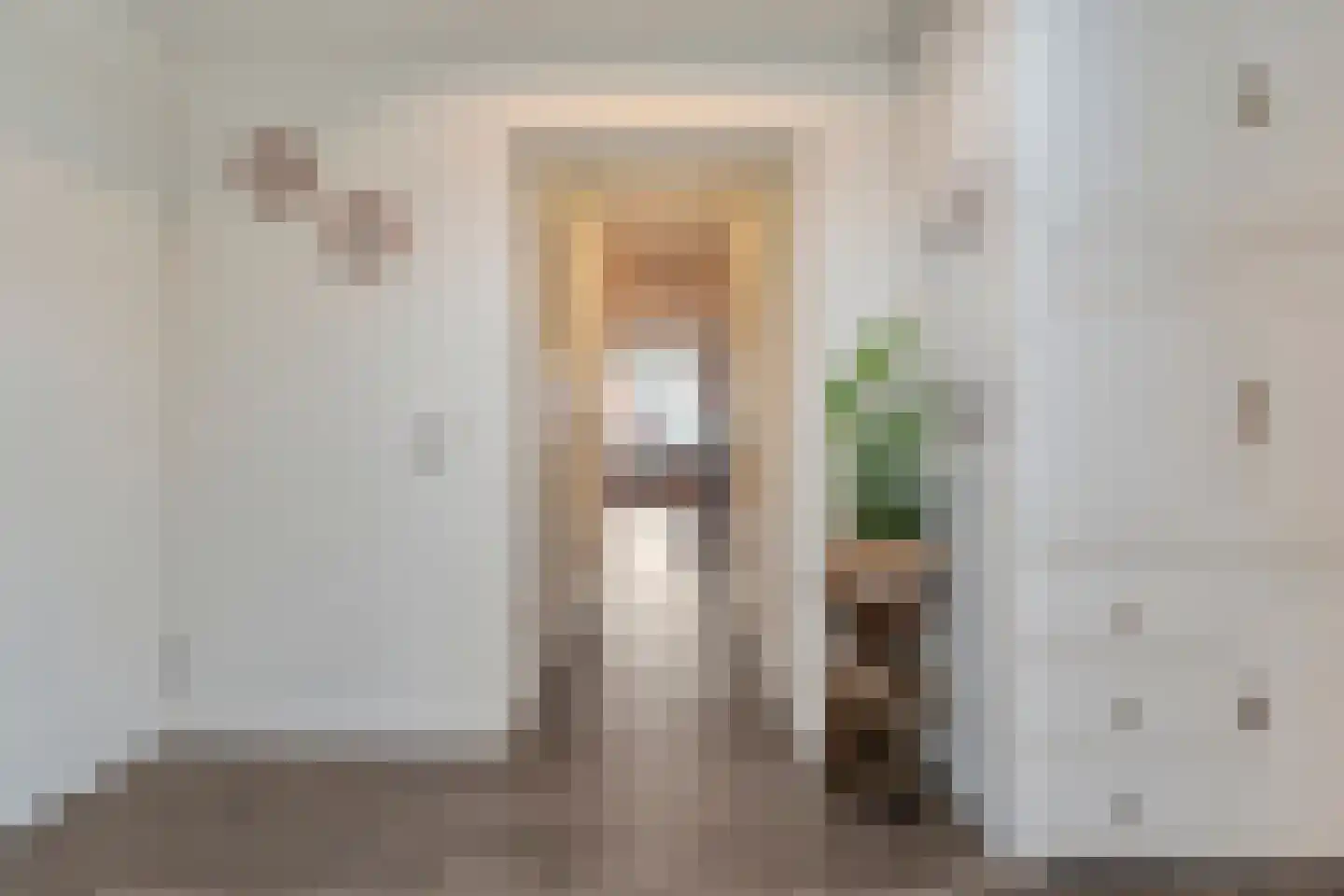 Burg.Backxlaan 306 Nieuwleusen thumbnail 19
