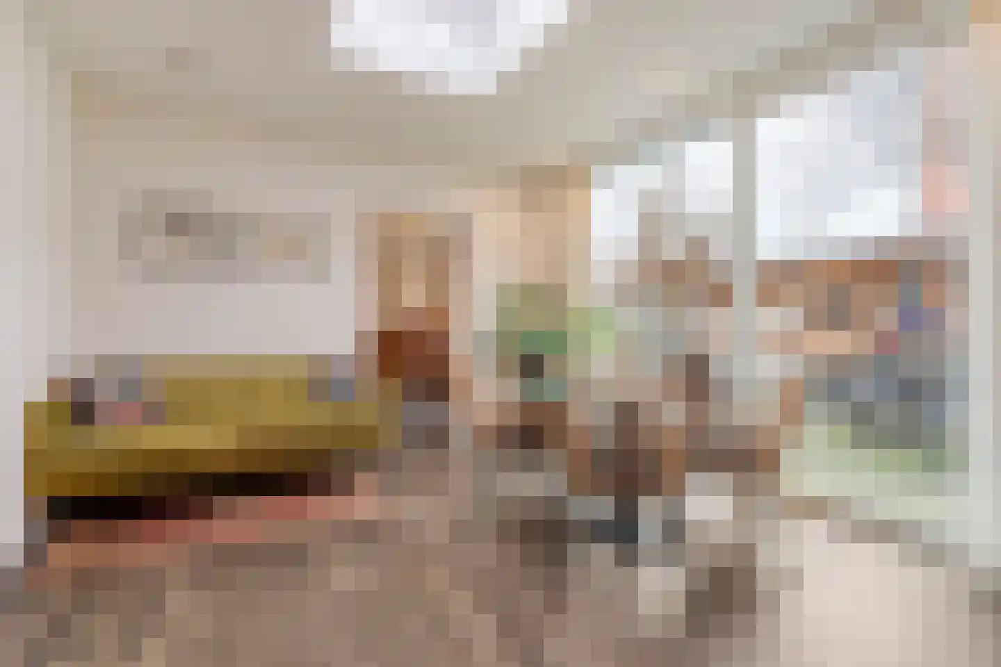 Burg.Backxlaan 306 Nieuwleusen thumbnail 21