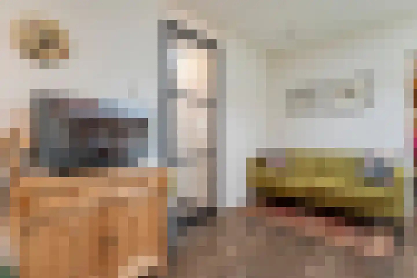 Burg.Backxlaan 306 Nieuwleusen thumbnail 22