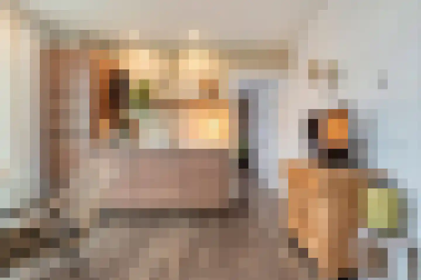 Burg.Backxlaan 306 Nieuwleusen thumbnail 23