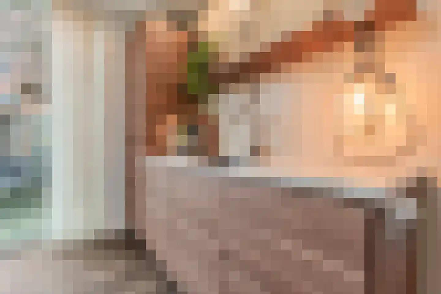 Burg.Backxlaan 306 Nieuwleusen thumbnail 24