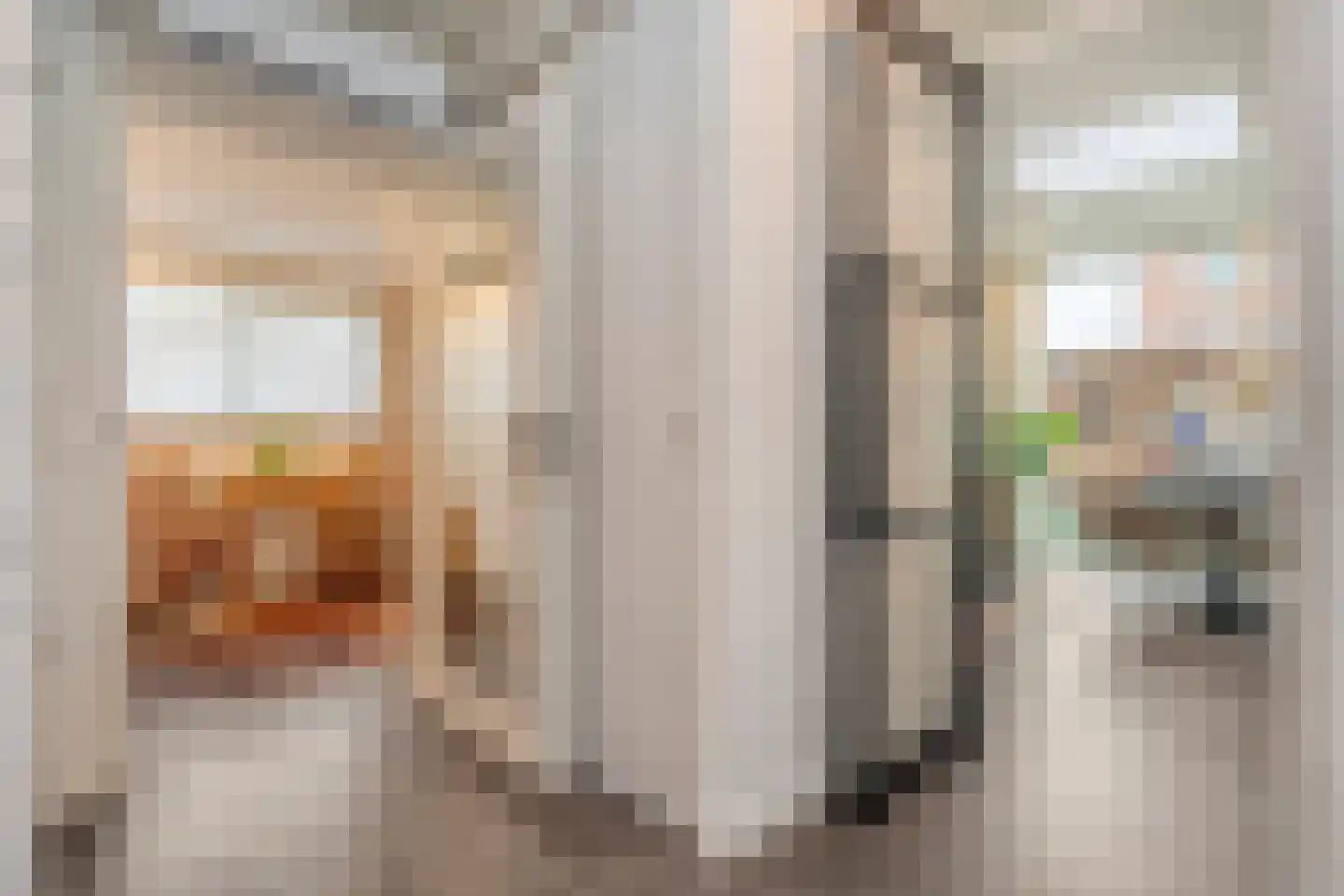 Burg.Backxlaan 306 Nieuwleusen thumbnail 25