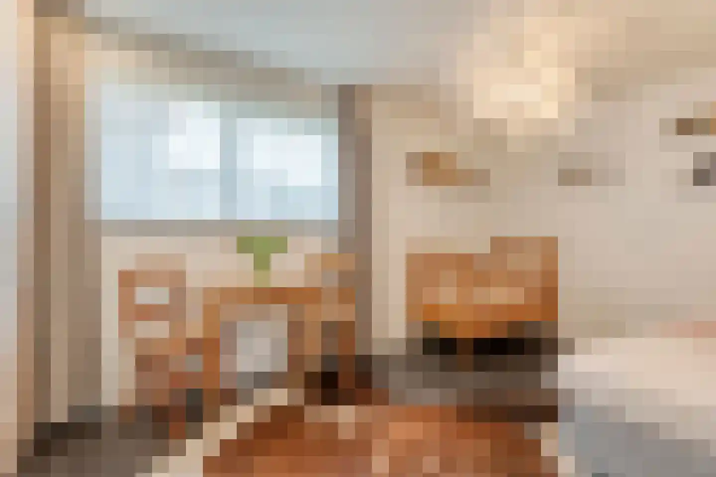 Burg.Backxlaan 306 Nieuwleusen thumbnail 26