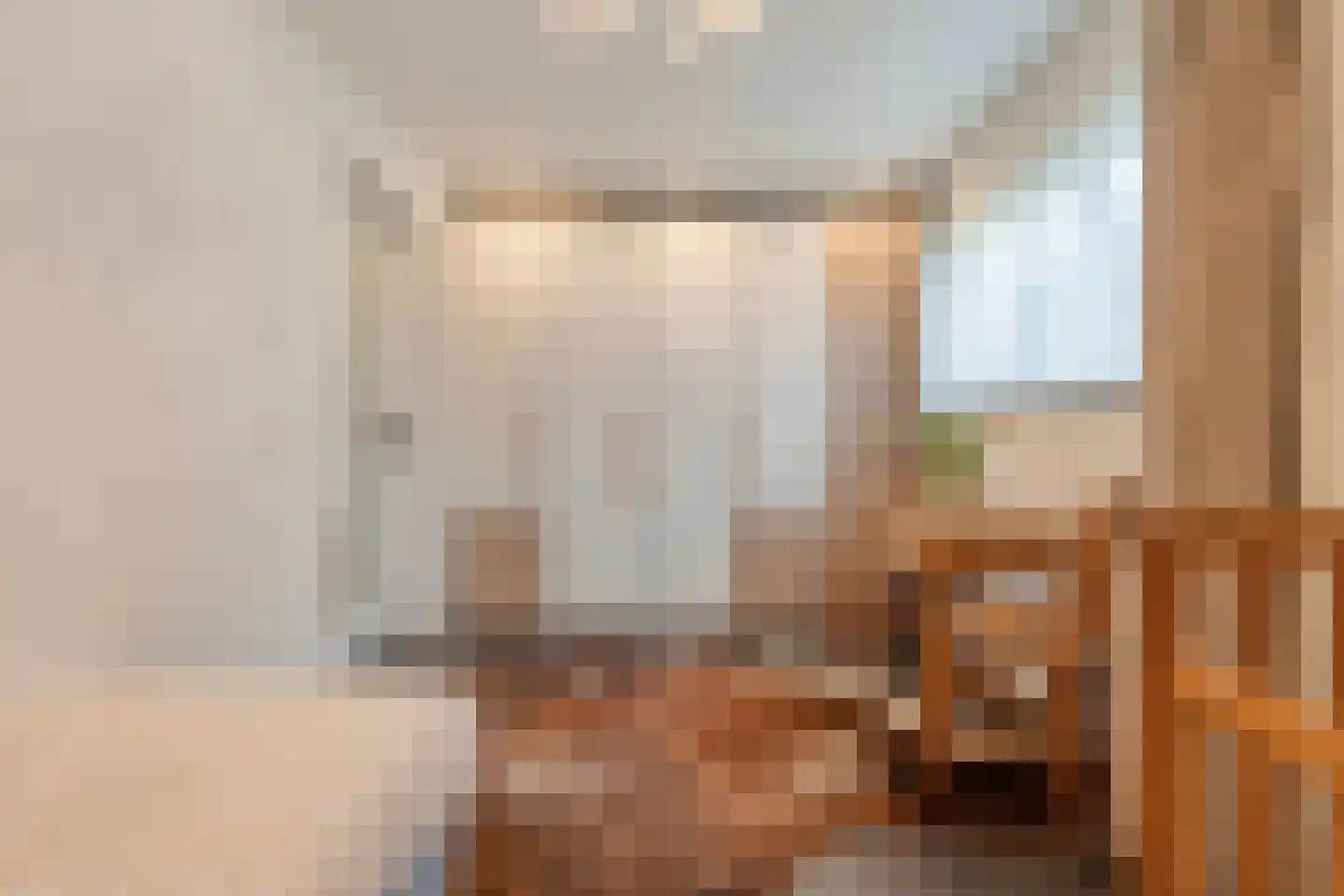Burg.Backxlaan 306 Nieuwleusen thumbnail 28