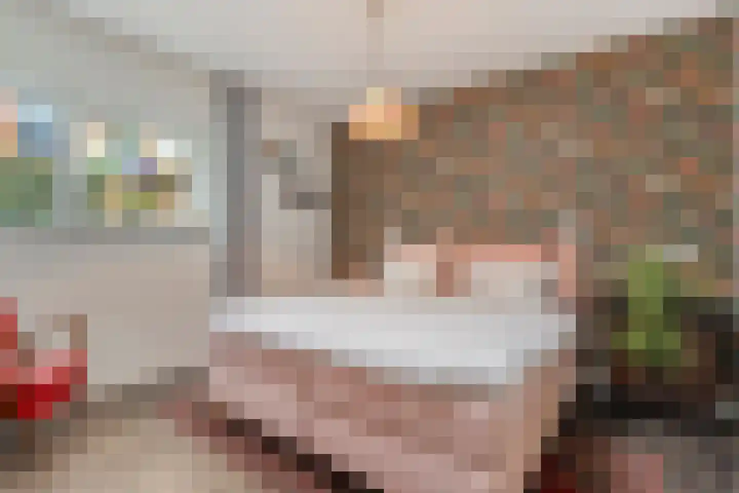 Burg.Backxlaan 306 Nieuwleusen thumbnail 29