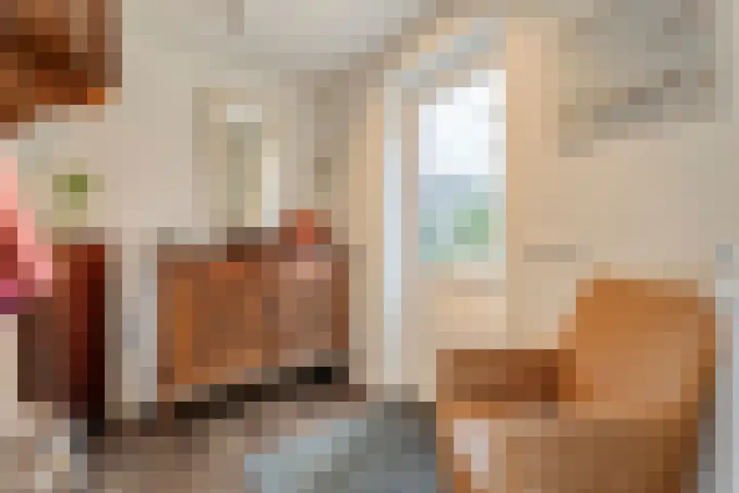Burg.Backxlaan 306 Nieuwleusen thumbnail 31