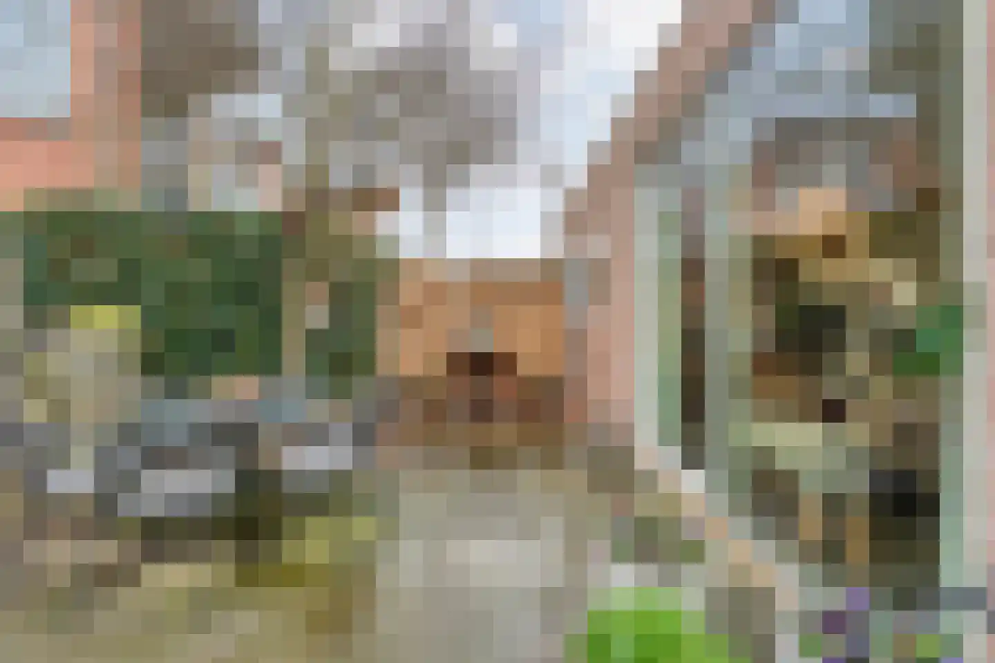 Burg.Backxlaan 306 Nieuwleusen thumbnail 32
