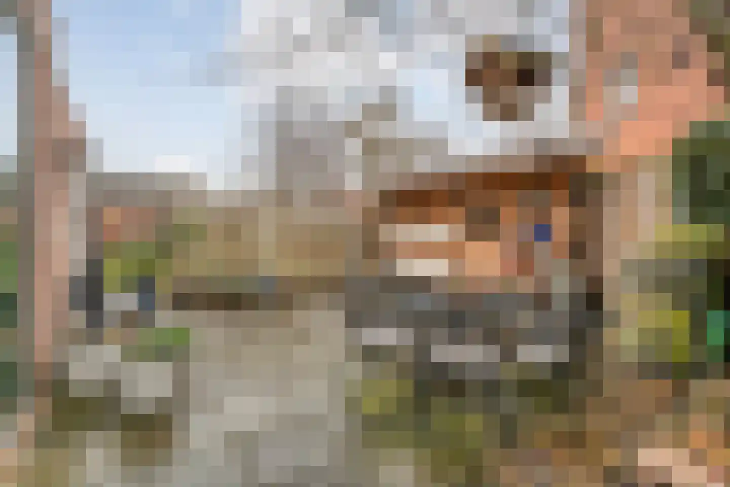 Burg.Backxlaan 306 Nieuwleusen thumbnail 33