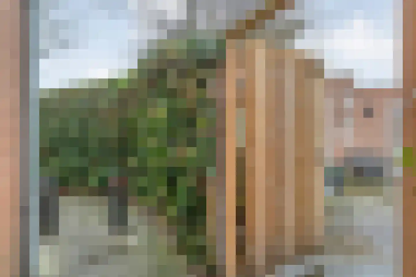 Burg.Backxlaan 306 Nieuwleusen thumbnail 34
