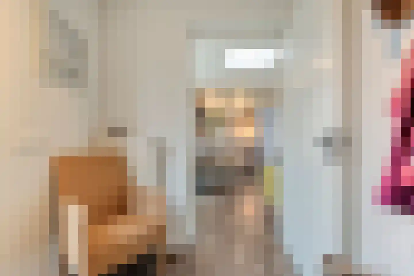 Burg.Backxlaan 306 Nieuwleusen thumbnail 35