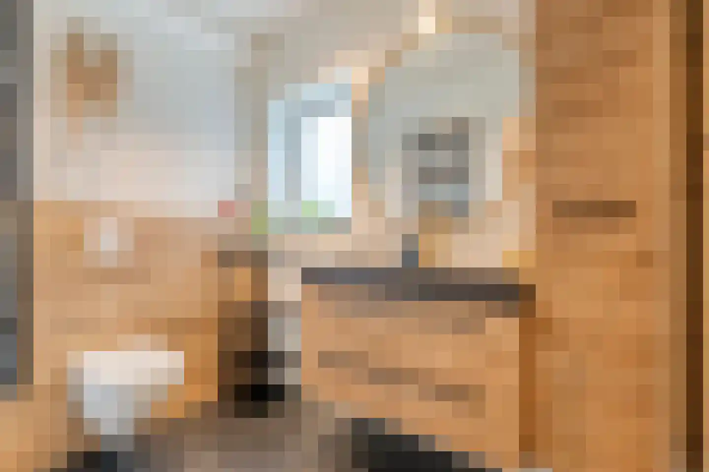 Burg.Backxlaan 306 Nieuwleusen thumbnail 39