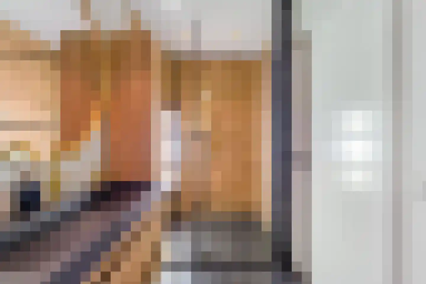 Burg.Backxlaan 306 Nieuwleusen thumbnail 40