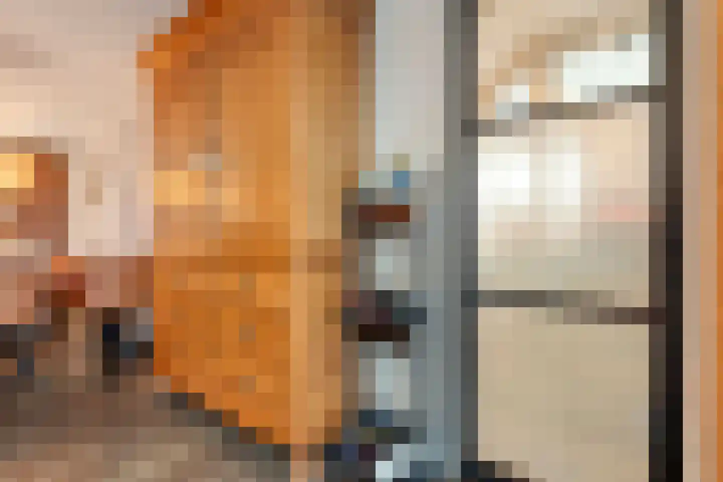 Burg.Backxlaan 306 Nieuwleusen thumbnail 42