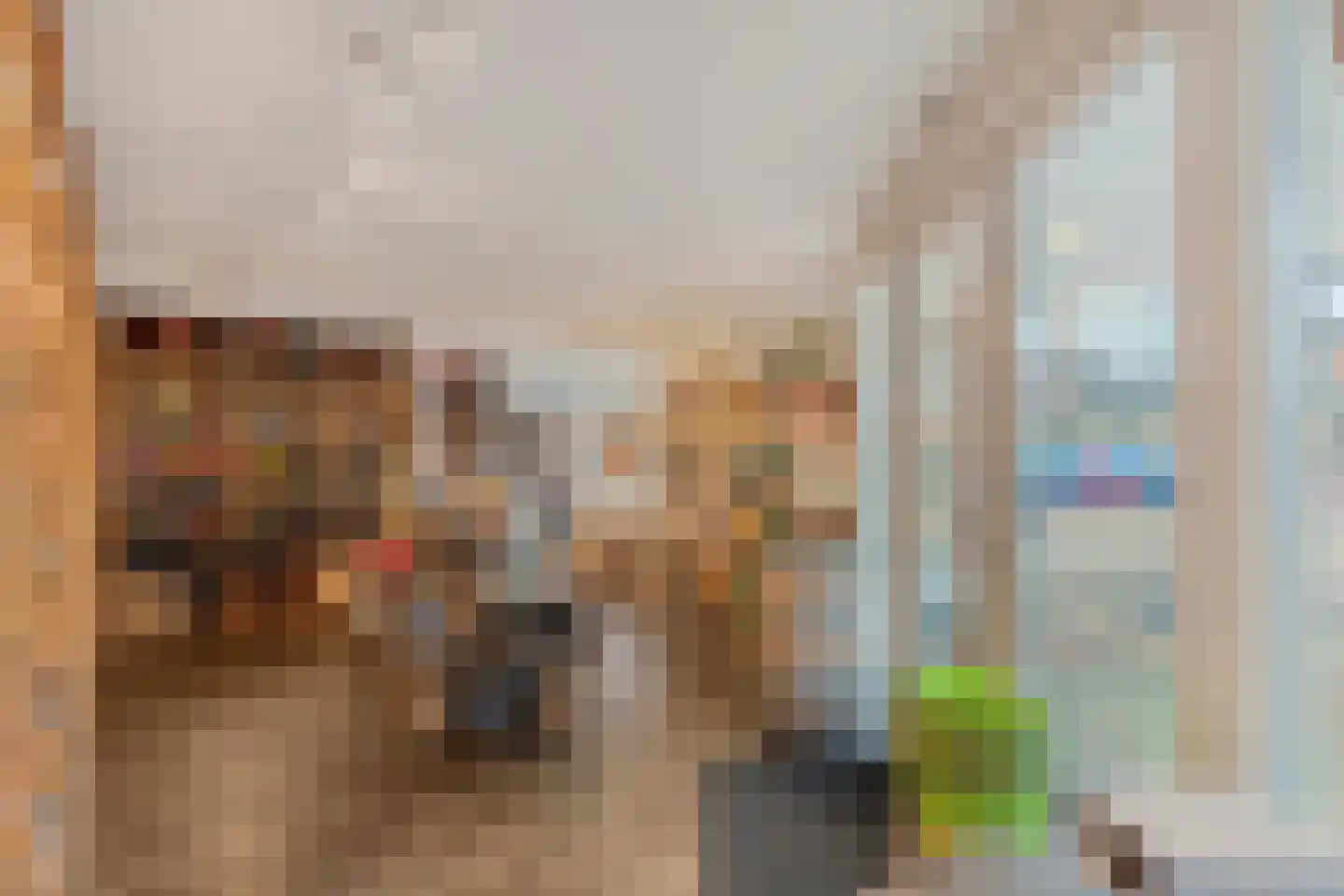 Burg.Backxlaan 306 Nieuwleusen thumbnail 43