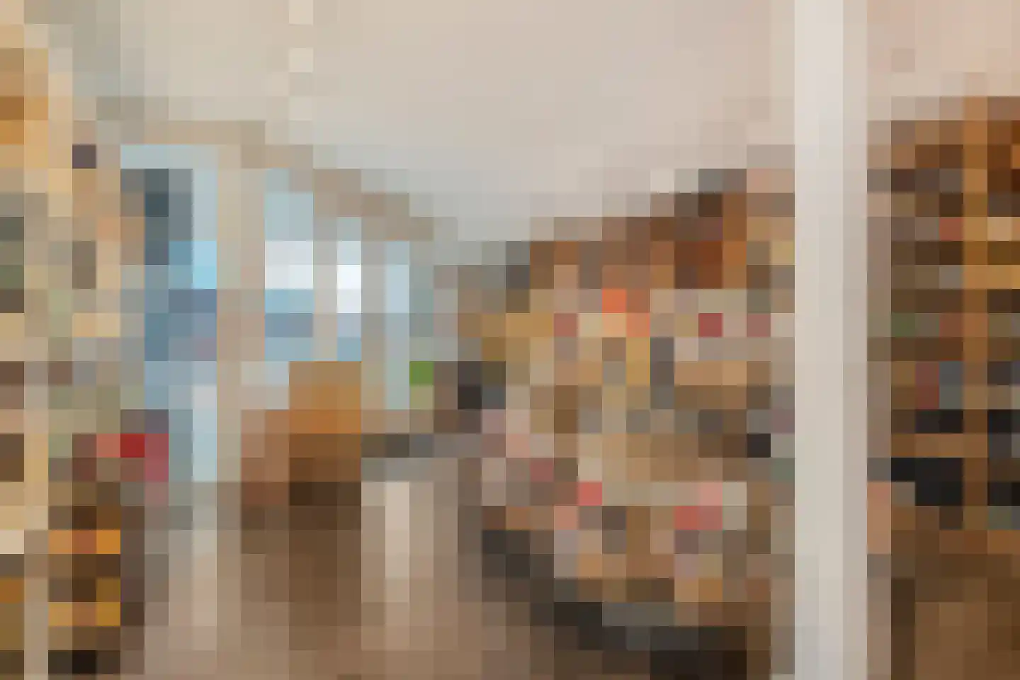 Burg.Backxlaan 306 Nieuwleusen thumbnail 44